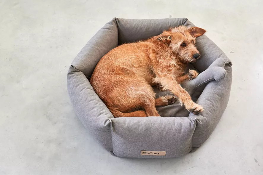 MiaCara Felice Hondenmand Ø80 Medium Sand 11 MiaCara Felice Hondenmand Ø80 Medium Sand - Afbeelding 9