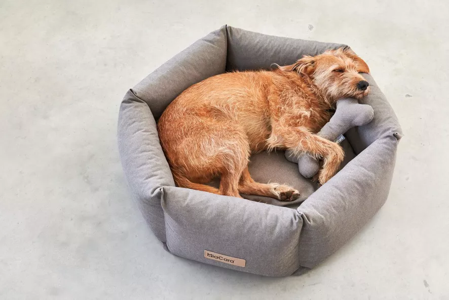 MiaCara Felice Hondenmand Ø80 Medium Sand 5 MiaCara Felice Hondenmand Ø80 Medium Sand - Afbeelding 3