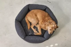 MiaCara Felice Hondenmand Large Ø100 Sand -Flinders x886x886 miacara felice hondenmand large6.jpg.pagespeed.ic .MhWjEs72WR 1