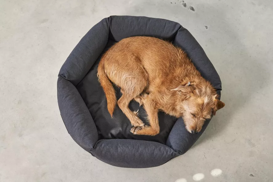 MiaCara Felice Hondenmand Ø80 Medium Sand 4 MiaCara Felice Hondenmand Ø80 Medium Sand - Afbeelding 2