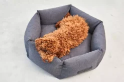 MiaCara Felice Hondenmand Ø80 Medium Sand 15 MiaCara Felice Hondenmand Ø80 Medium Sand -Flinders x886x886 miacara felice hondenmand large7.jpg.pagespeed.ic .Q yoH1Z3WT