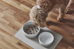 MiaCara Lento Hondenvoerbak Inzetstuk Small Greige -Flinders x886x886 miacara lento hondenvoerbak inzetstuk large2.jpg.pagespeed.ic .kl9hHNbIw3