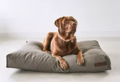 MiaCara Mare Hondenkussen Large Sand 12 MiaCara Mare Hondenkussen Large Sand -Flinders x886x886 miacara mare hondenkussen large5.jpg.pagespeed.ic .oLIIJ gxo 1