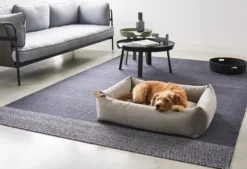 MiaCara Mare Hondenmand Small Kelp -Flinders x886x886 miacara mare hondenmand small2.jpg.pagespeed.ic .2vIqdd9l4D 5