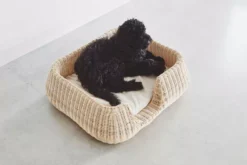 MiaCara Mio Hondenmand Medium Cream -Flinders x886x886 miacara mio hondenmand medium2.jpg.pagespeed.ic .Y1MHT5K5Qc 1