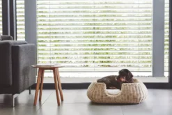 MiaCara Mio Hondenmand Medium Anthracite -Flinders x886x886 miacara mio hondenmand medium3.jpg.pagespeed.ic .87nERkEzq5