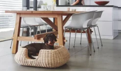 MiaCara Mio Hondenmand Medium Cream -Flinders x886x886 miacara mio hondenmand medium6.jpg.pagespeed.ic .dhYDDV5s1G 1