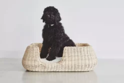 MiaCara Mio Hondenmand Medium Cream -Flinders x886x886 miacara mio hondenmand medium9.jpg.pagespeed.ic .ep8YhtiyEp 1