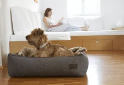 MiaCara Nube Hondenmand Large Tobacco 10 MiaCara Nube Hondenmand Large Tobacco -Flinders x886x886 miacara nube hondenmand small19.jpg.pagespeed.ic .M2SSgd3cu 1 1