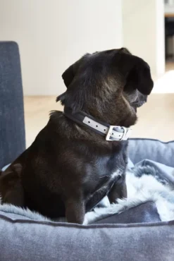 MiaCara Nube Hondenmand Medium Salt&pepper -Flinders x886x886 miacara nube hondenmand small21.jpg.pagespeed.ic .flBGihibq1 2