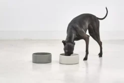 MiaCara Scodella Hondenvoerbak Small Graphite -Flinders x886x886 miacara scodella hondenvoerbak large.jpg.pagespeed.ic .DQ4N LwLQH 1