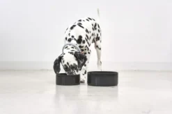 MiaCara Scodella Hondenvoerbak Small Graphite -Flinders x886x886 miacara scodella hondenvoerbak large1.jpg.pagespeed.ic .6RW7 9Fw M 1