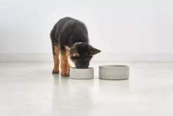 MiaCara Scodella Hondenvoerbak Small Graphite -Flinders x886x886 miacara scodella hondenvoerbak large2.jpg.pagespeed.ic .EPohjv346t 1