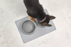 MiaCara Scodella Hondenvoerbak Large Greige -Flinders x886x886 miacara scodella hondenvoerbak large4.jpg.pagespeed.ic .PlhIR9G4N 1 2