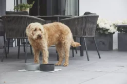 MiaCara Scodella Hondenvoerbak Large Greige -Flinders x886x886 miacara scodella hondenvoerbak large5.jpg.pagespeed.ic .RJYgS1QFxZ 1