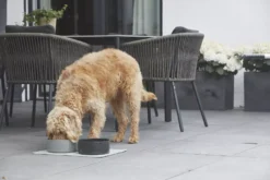 MiaCara Scodella Hondenvoerbak Large Greige -Flinders x886x886 miacara scodella hondenvoerbak large6.jpg.pagespeed.ic .Nc0s0FVbuE 1