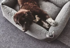 MiaCara Stella Hondenmand Medium Mottled Mocca 15 MiaCara Stella Hondenmand Medium Mottled Mocca -Flinders x886x886 miacara stella hondenmand small5.jpg.pagespeed.ic .qi04m r7Br