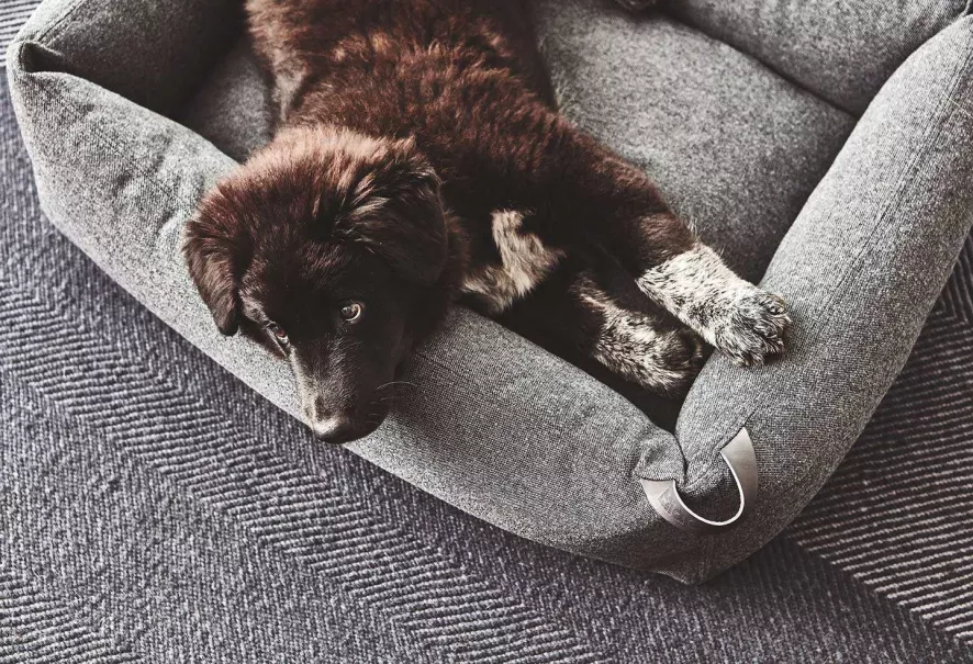 MiaCara Stella Hondenmand Medium Mottled Mocca 8 MiaCara Stella Hondenmand Medium Mottled Mocca - Afbeelding 6