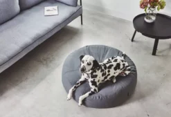 MiaCara Stella Hondenpoef Small/medium Ø70 Slate 10 MiaCara Stella Hondenpoef Small/medium Ø70 Slate -Flinders x886x886 miacara stella hondenpoef small medium4.jpg.pagespeed.ic .sE3BIHuo1c 1