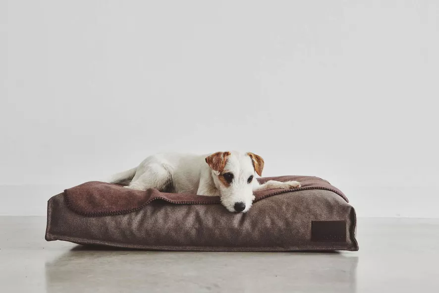 MiaCara Divo Hondenkussen Medium Mocca 9 MiaCara Divo Hondenkussen Medium Mocca - Afbeelding 7