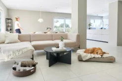 MiaCara Velluto Hondenkussen Large Sage -Flinders x886x886 miacara velluto hondenkussen large9.jpg.pagespeed.ic .E2vZno4X n