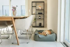 MiaCara Velluto Hondenmand Medium Greige -Flinders x886x886 miacara velluto hondenmand large3.jpg.pagespeed.ic .E9qYajbRdx