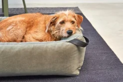 MiaCara Velluto Hondenmand Large Greige -Flinders x886x886 miacara velluto hondenmand large6.jpg.pagespeed.ic .aXN3H 21OY 1