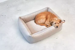 MiaCara Velluto Hondenmand Large Nude -Flinders x886x886 miacara velluto hondenmand large9.jpg.pagespeed.ic .IA9vkAoJ5d 2