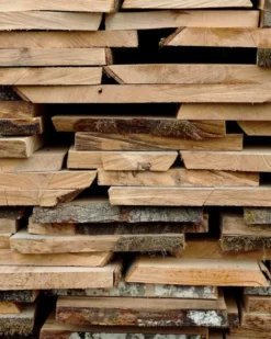 Muuto The Dots Haak Ø9 Bruin Groen 32 Muuto The Dots Haak Ø9 Bruin Groen -Flinders x886x886 muuto the dots haak 5 stuks9.jpg.pagespeed.ic .FkPhnSvlLT