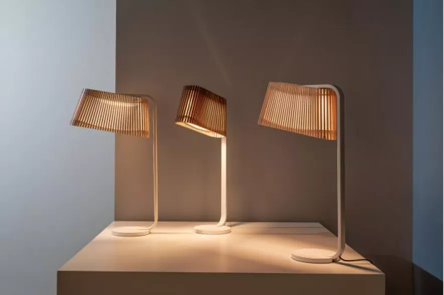 Secto Design Owalo 7020 Tafellamp LED Naturel Berk 9 Secto Design Owalo 7020 Tafellamp LED Naturel Berk - Afbeelding 7