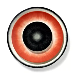 Serax Dé Tableware By Ann Demeulemeester Dinerbord Ø24 White/black 6 28 Serax Dé Tableware By Ann Demeulemeester Dinerbord Ø24 White/black 6 -Flinders x886x886 serax d tableware by ann demeulemeester ontbijtbord 17 524.jpg.pagespeed.ic .HAU KIXk2V