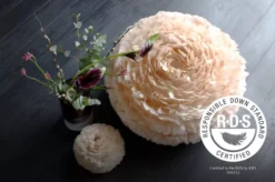 Umage Eos Hanglamp Large Ø65 Zwart Snoer, Rood -Flinders x886x886 vita eos large hanglamp zwart snoer6.jpg.pagespeed.ic .RS43CTcp 1